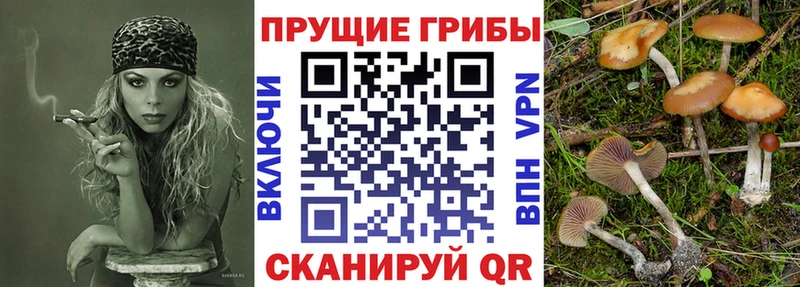 Галлюциногенные грибы GOLDEN TEACHER  Гдов 
